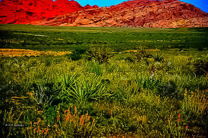 Red Rock Canyon Nevada — Desert Landscape Fine Art Print