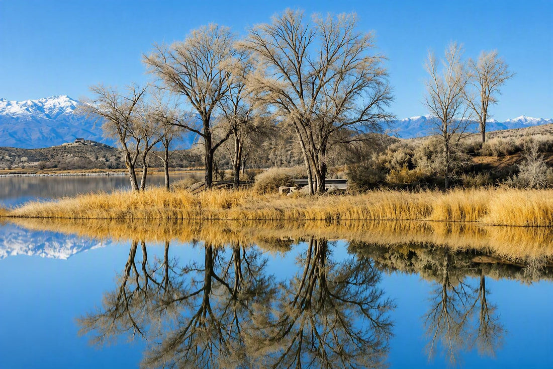 Through the Lens: How Photography Can Help Save the American West