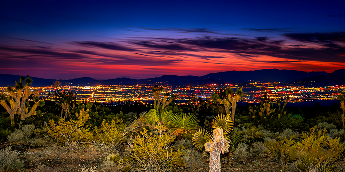 Desert Foothills Above the City
