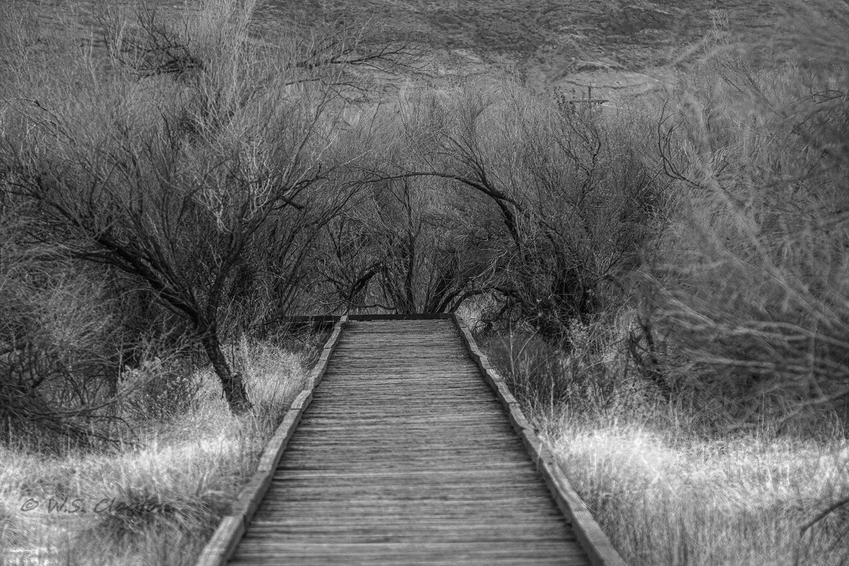 Desert Boardwalk Landscape — American West Fine Art Print