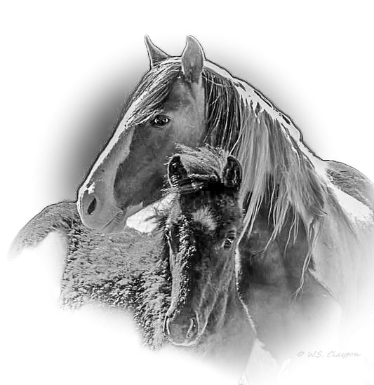 Black and white digital artwork of a horse and foal, presented as a print with a white border and a soft gray vignette.
