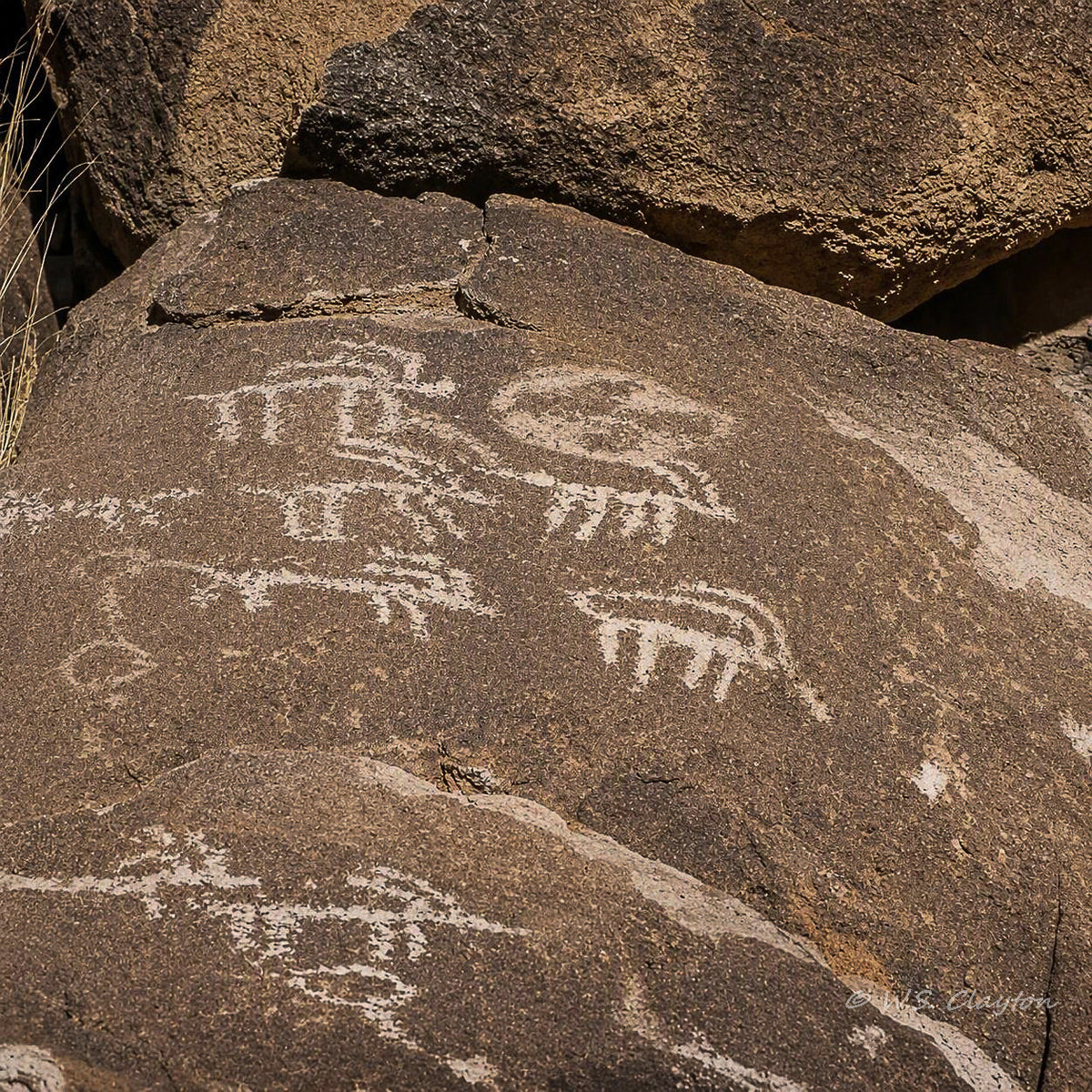 Close-up of a natural rock surface with pale petroglyph-style carvings and symbols etched into the brown stone.