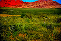 Red Rock Canyon Nevada — Desert Landscape Fine Art Print