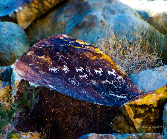 Rock with ancient petroglyphs in a natural setting