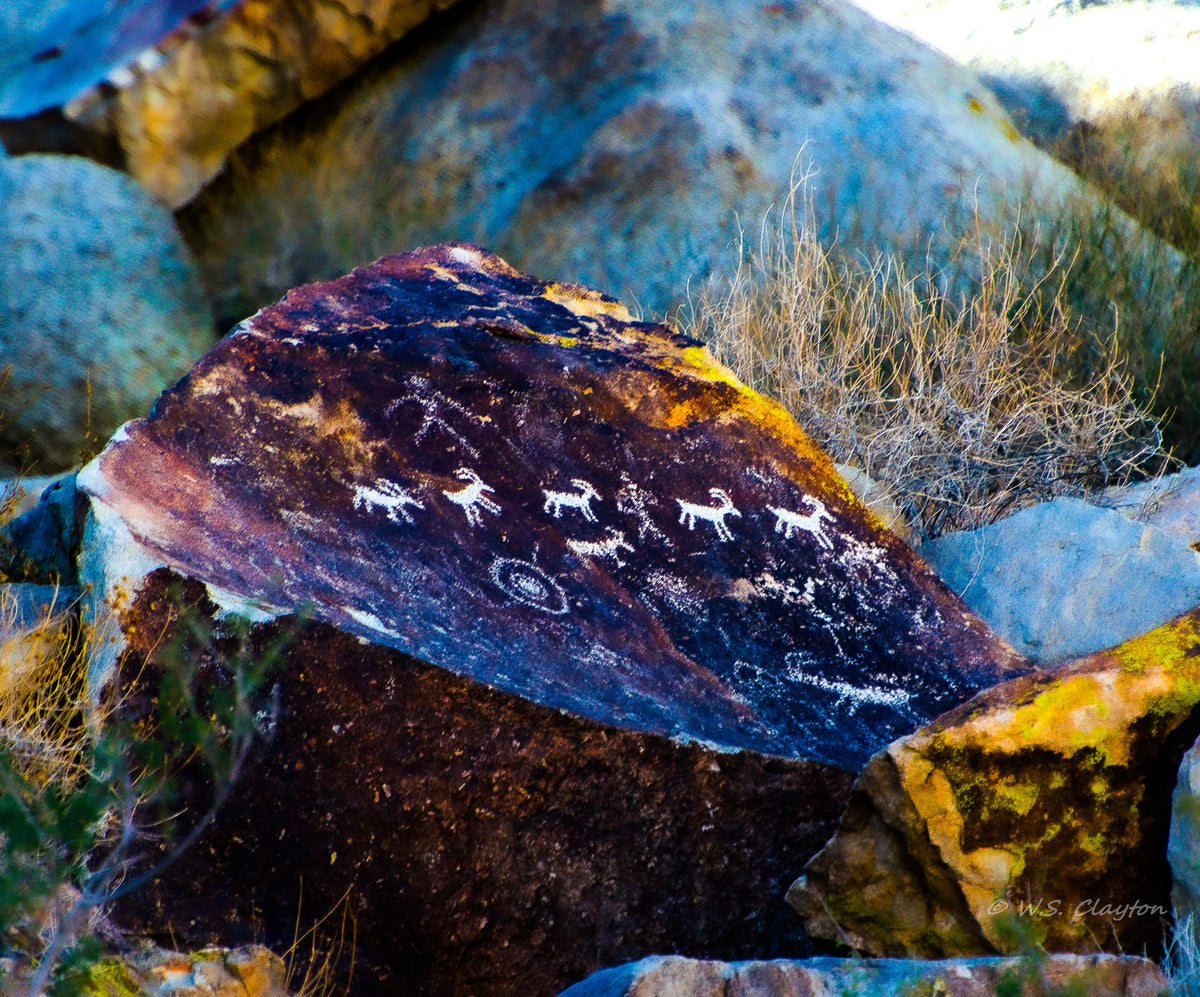 Rock with ancient petroglyphs in a natural setting