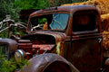 Old truck lost to time